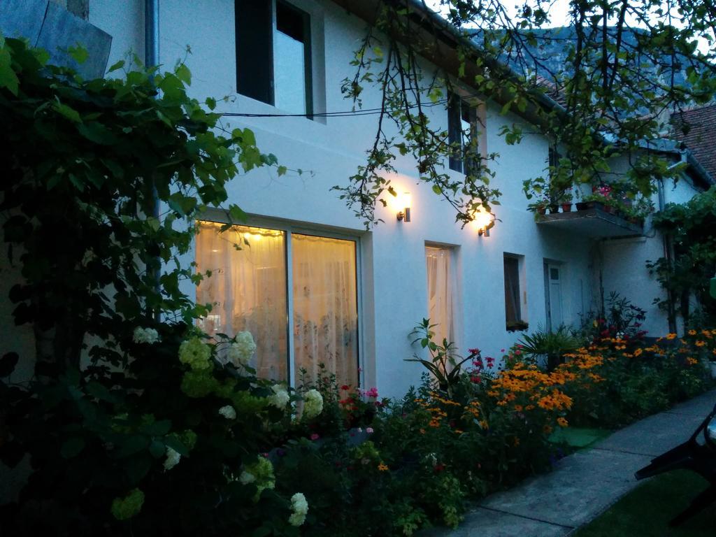 Pension Casa Anadam Baile Herculane Exterior photo